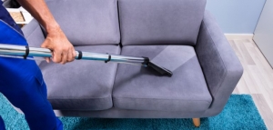 Choosing the Right Upholstery Cleaning Products: Navigating the Options